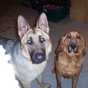 Meet your Posher, Gail